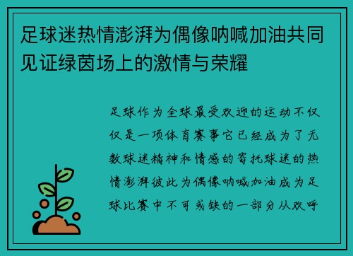 足球迷热情澎湃为偶像呐喊加油共同见证绿茵场上的激情与荣耀